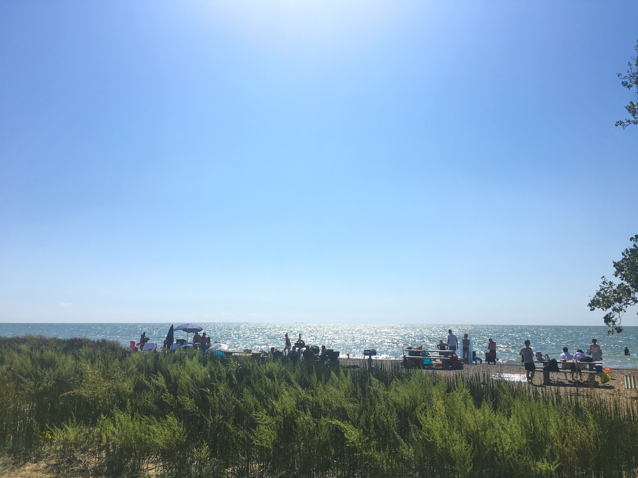 The image is of a beach scene taken from a low angle. The horizon is in the middle of the image. The sky is a bright blue with no clouds. The water is a light blue with small waves. The beach is covered in sand and there are a few people sitting on the beach. The foreground is a row of tall green grass.