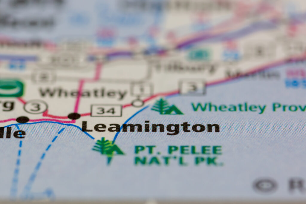 This image is a close-up of a printed map, focusing on the area around Leamington and Pt. Pelee National Park. The text is bold and clear, with Leamington prominently displayed in black. The map features various colored lines, likely representing roads or boundaries, with blue dashed lines indicating routes or paths. Green tree symbols suggest natural or park areas, adding a sense of geography and navigation. The texture of the paper and the dot pattern of the print are visible, giving it a tactile, detailed quality.