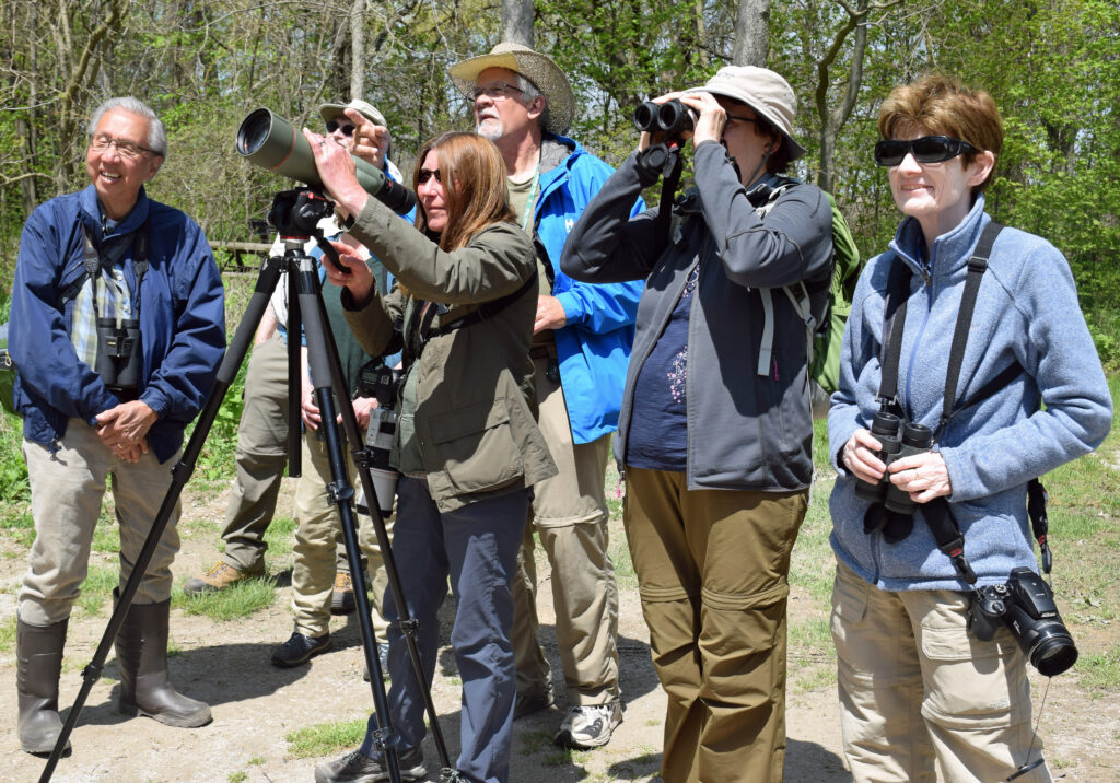Birding