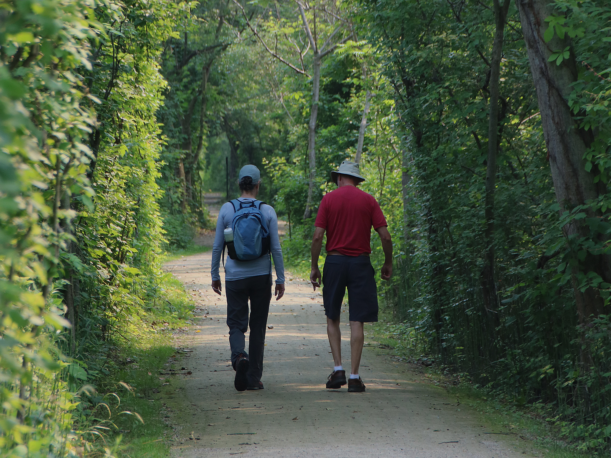 people walking on trail