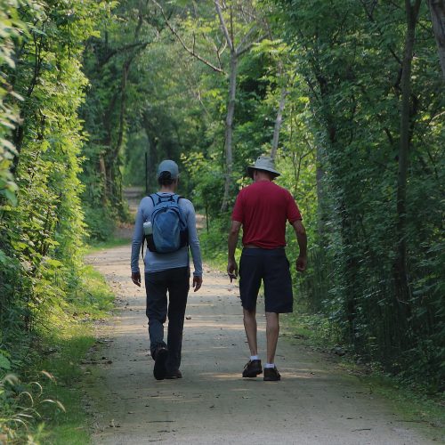 people walking on trail